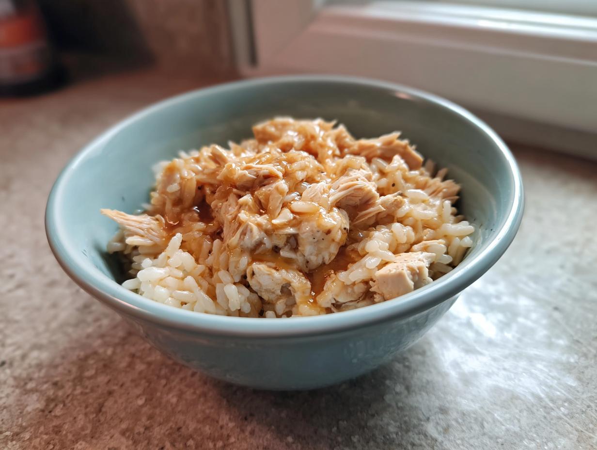 A bowl of High-Calorie Cat Recovery Meal, including rice and chicken, ready for a cat to eat.